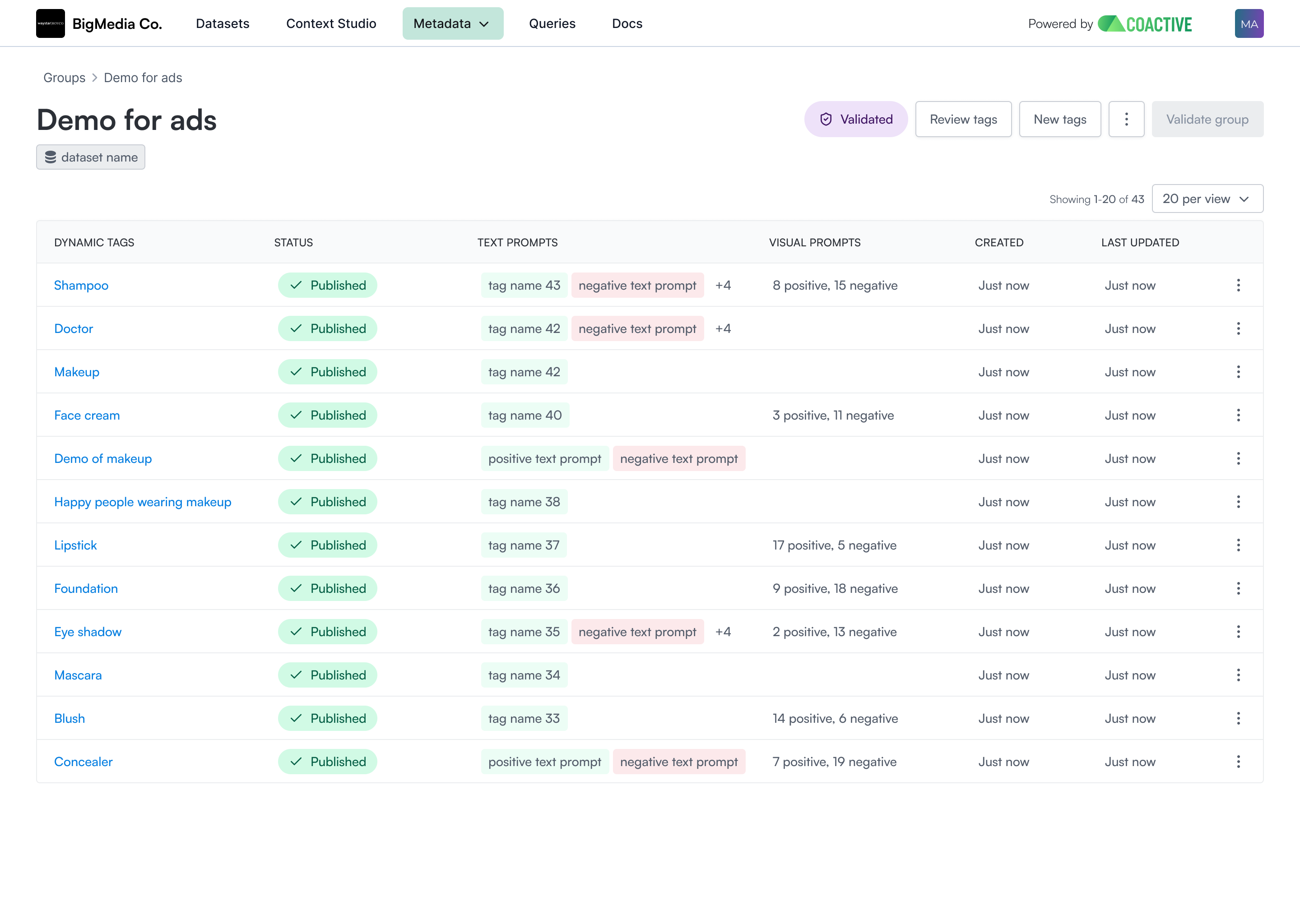 VLA Dynamic Tags validation view